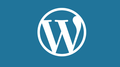 How to Choose the Perfect WordPress Theme for Your Website